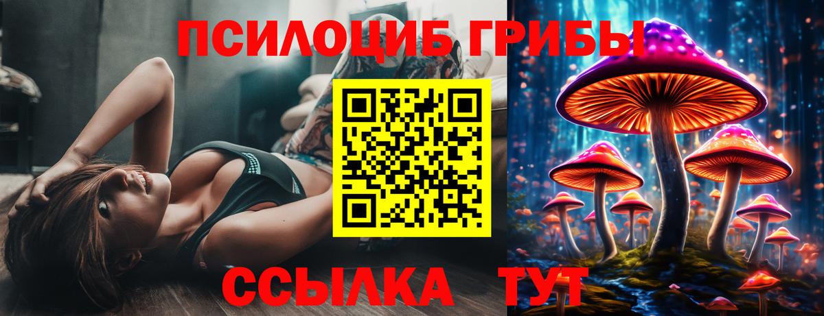 Кыштым  Галлюциногенные грибы ЛСД  Вход с VPN 